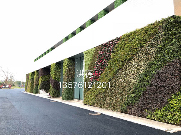 生态绿植墙